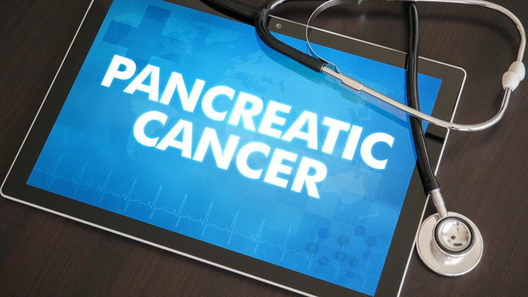 Study: New immunotherapy shows promise in targeting pancreatic cancer tumors