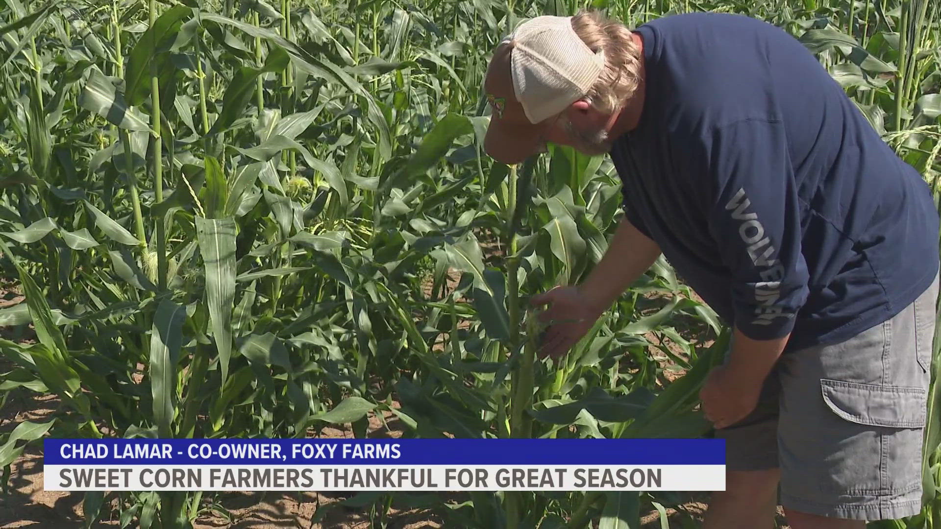 The owners of a West Michigan farm are happy to have a successful sweet corn season this year.