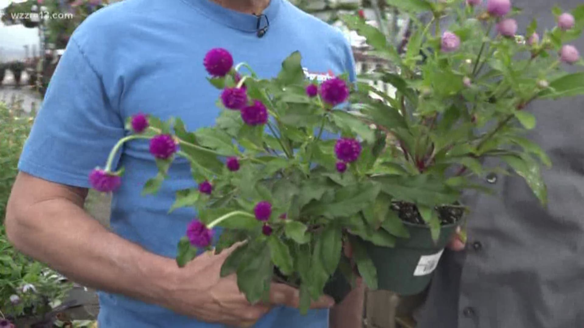 Our Greenthumb Expert Rick Vuyst guides us to the register, showing us what he would buy if he was shopping for his garden.
