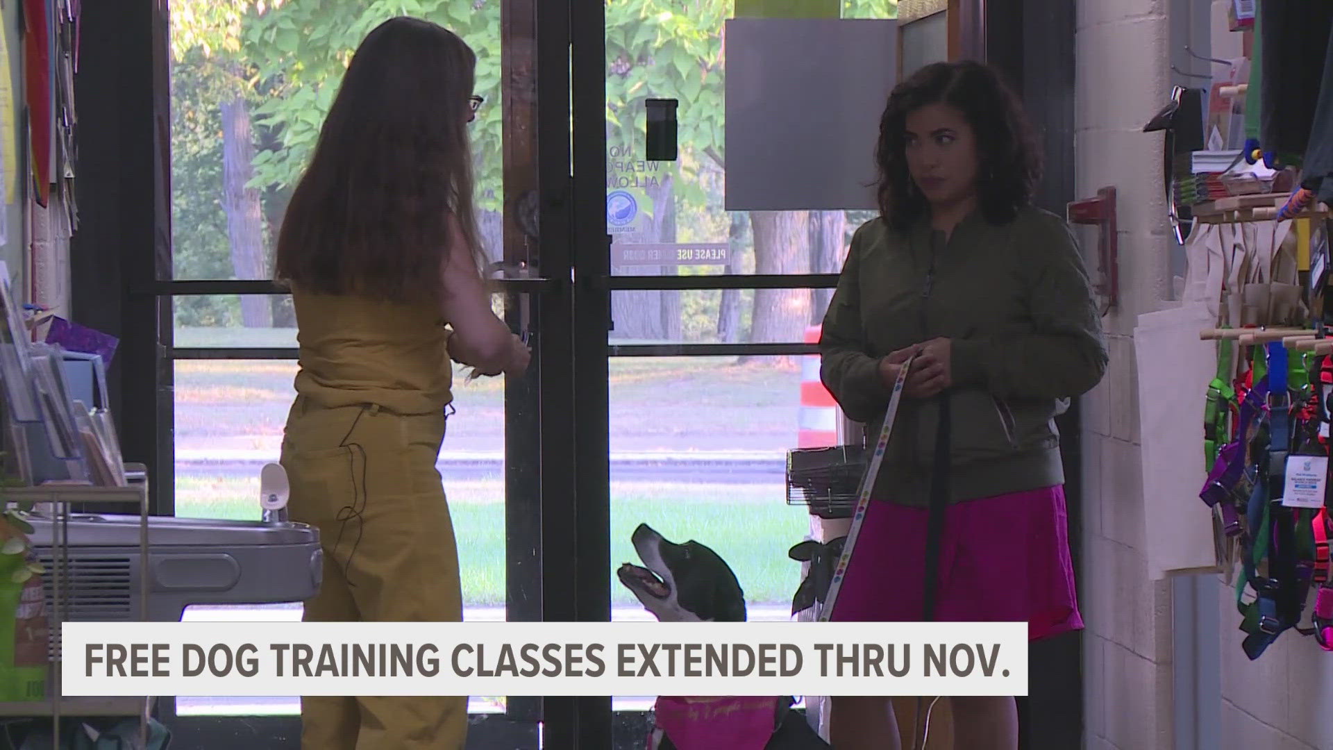 Free dog training classes have been extended through November, and Veronica Ortega and her dog Jingles put them to the test.