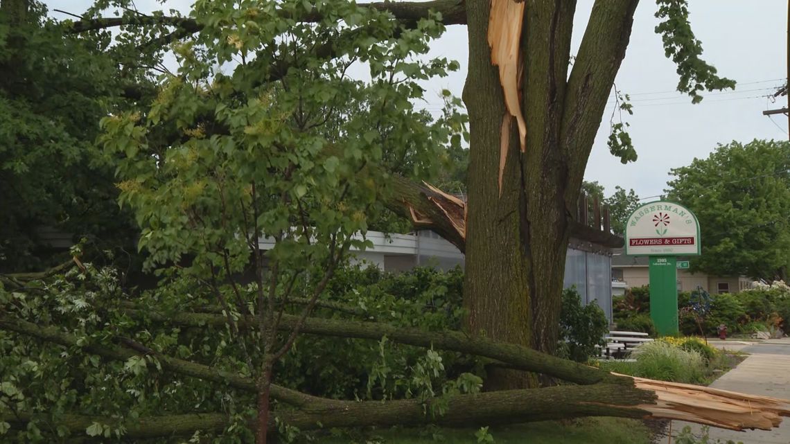 Muskegon flower shop still filling orders despite storm damage | wzzm13.com