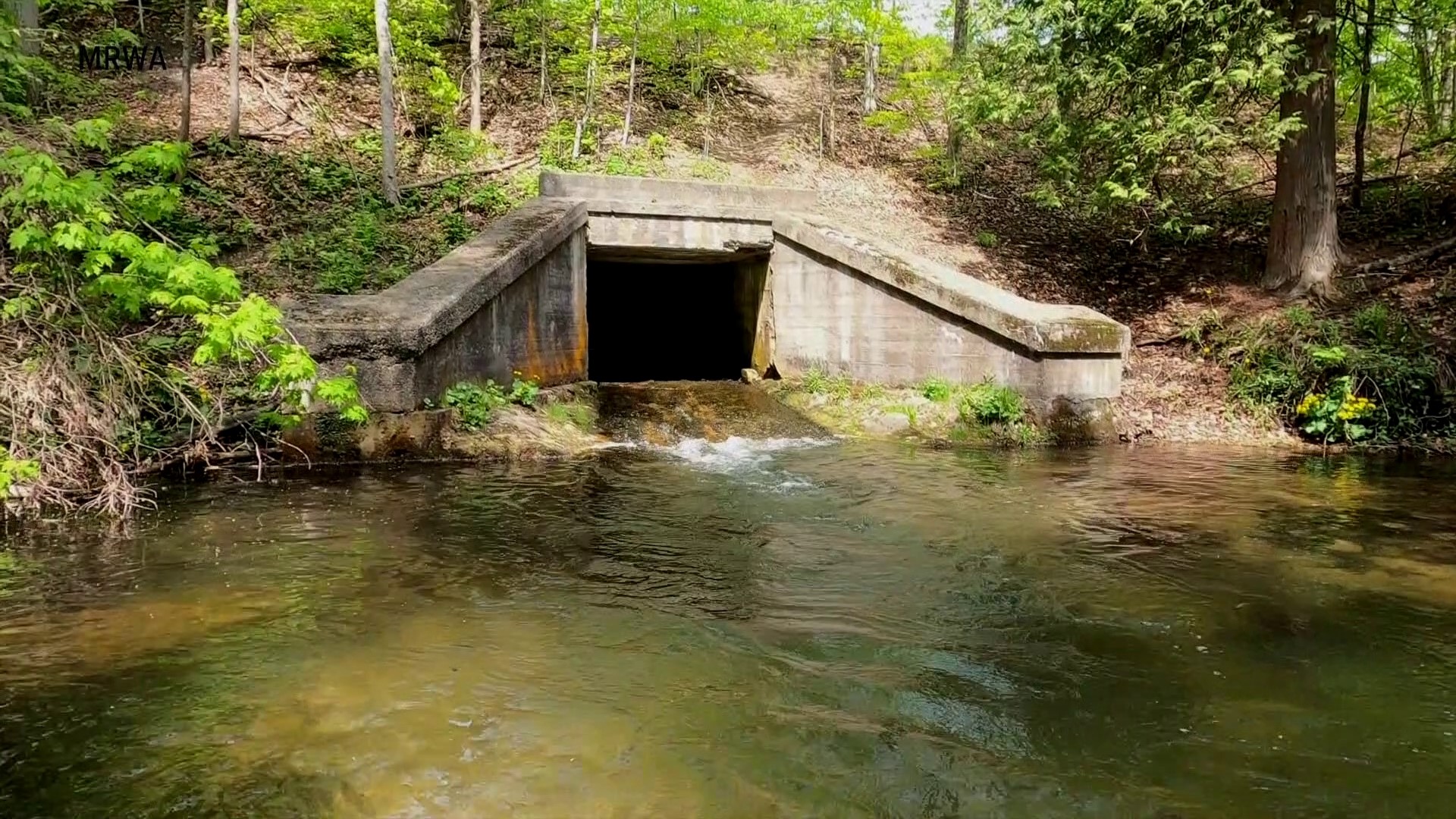 The state of Michigan is dotted with dams that have long since lost their purpose.