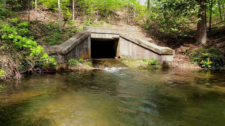 Here's Why: We are removing more dams in West Michigan!