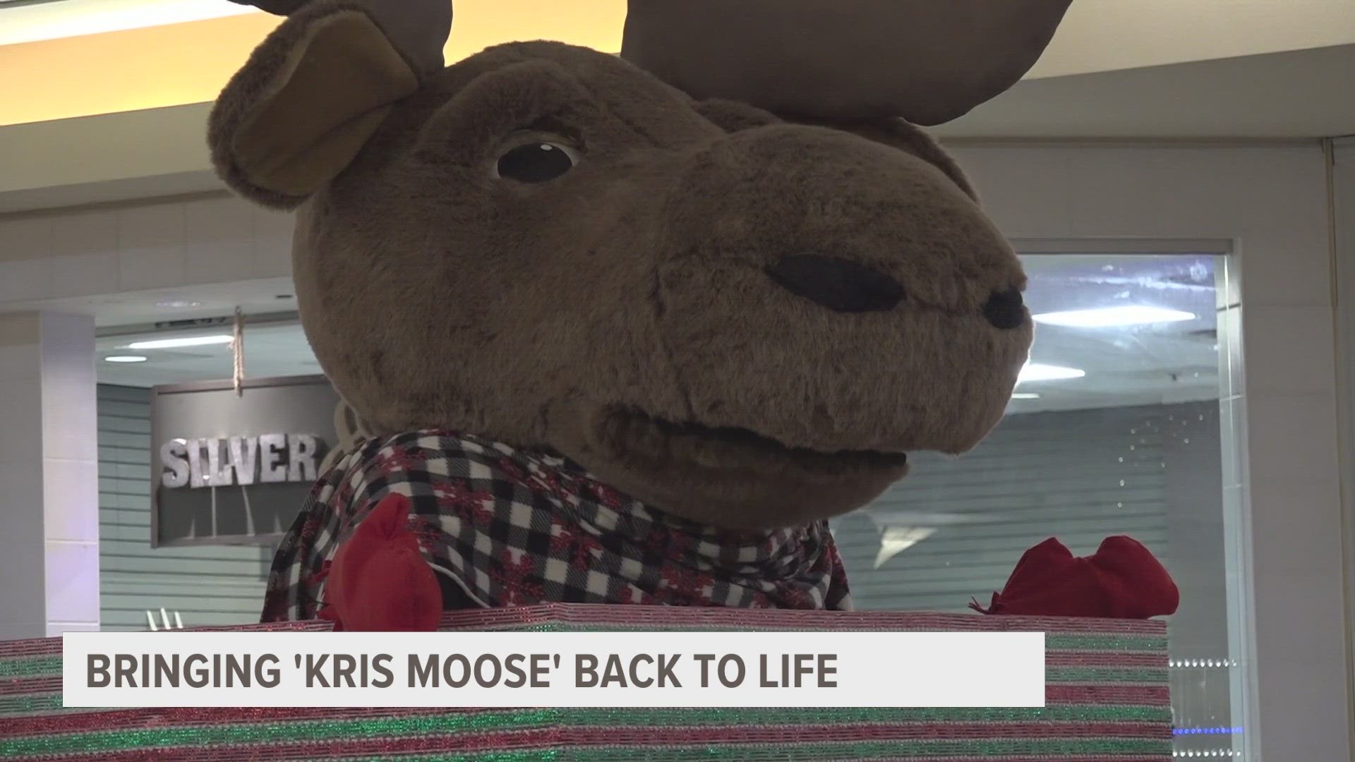 Kris Moose is an animatronic character who now calls the Lakes Mall home after being stowed away for many years.