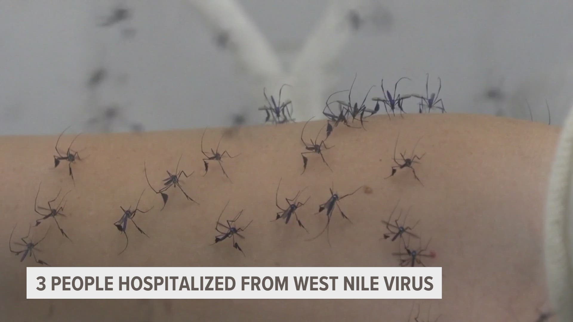 There are now two confirmed cases of West Nile Virus in Ottawa County and one in Kent County. All three patients have been hospitalized.