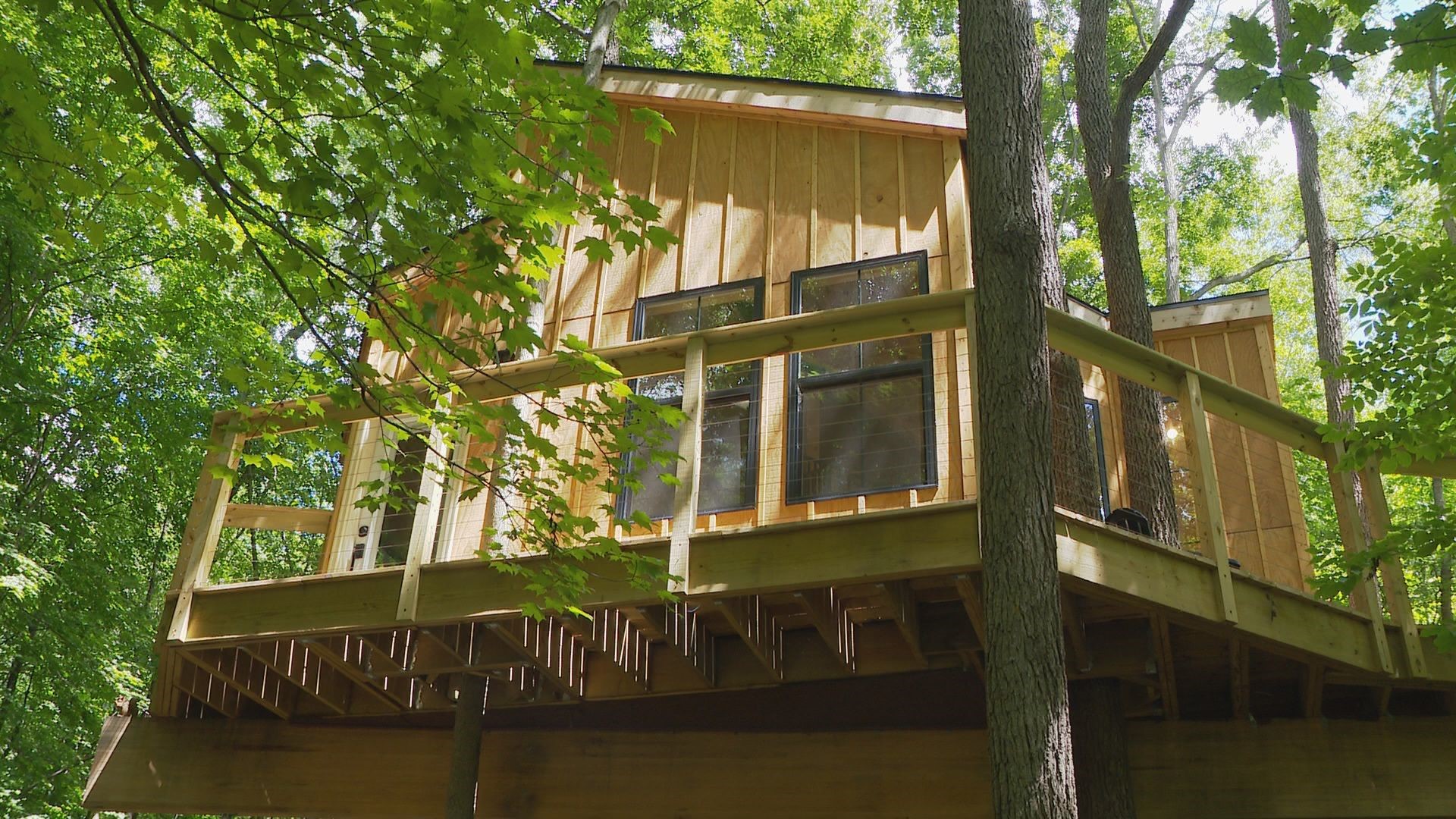 A luxury treehouse resort named Tree Vistas is open and accepting bookings.