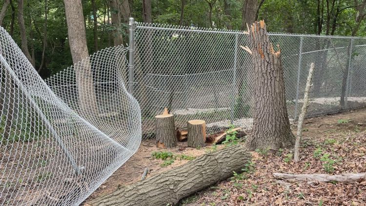 Animal shelter's new dog park damaged in storms | wzzm13.com