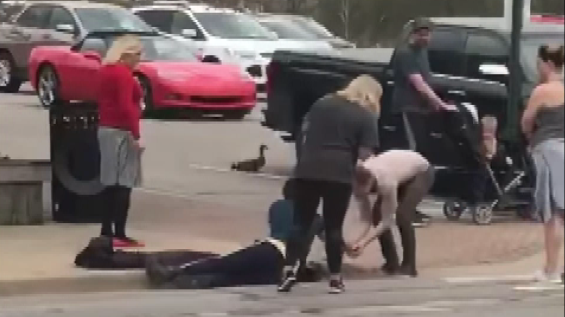 Podcasters save ducklings from Michigan storm drain - Vimarsana News