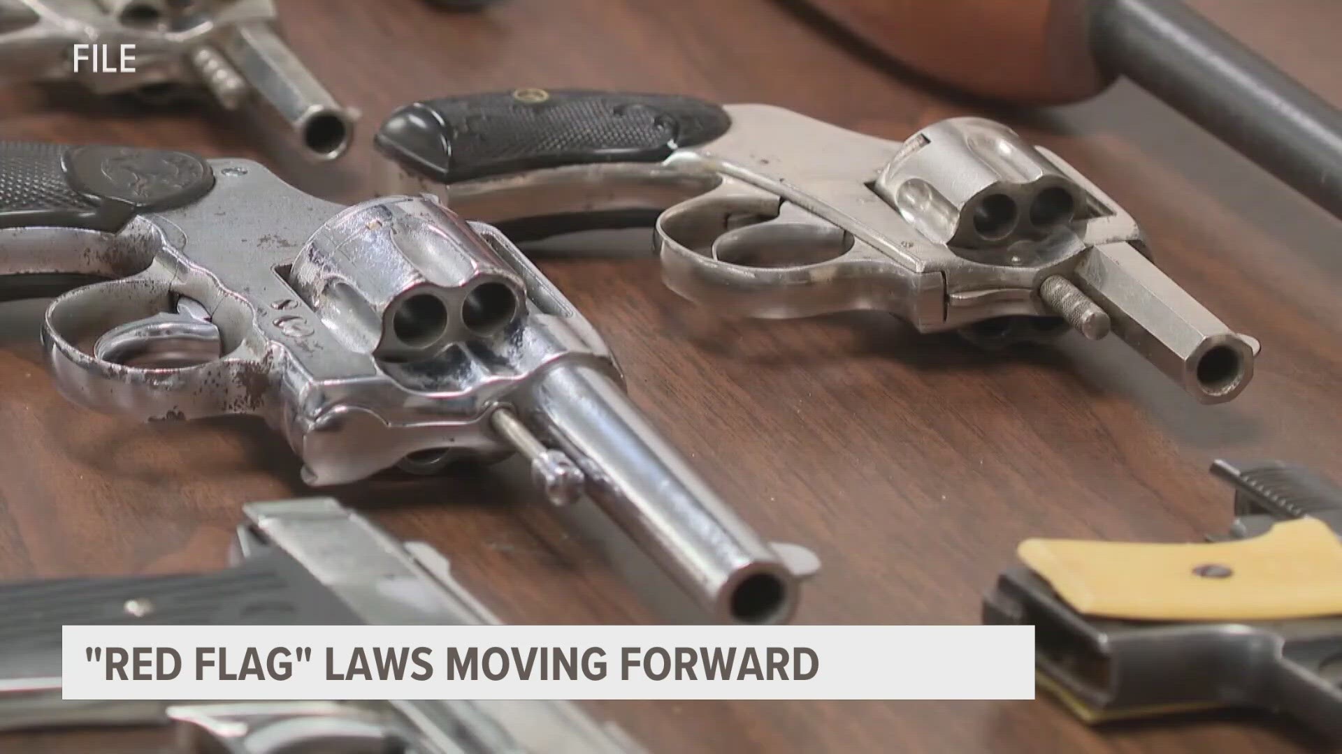Under these laws, firearms could be temporarily taken from someone believed to be a danger to themselves or others.