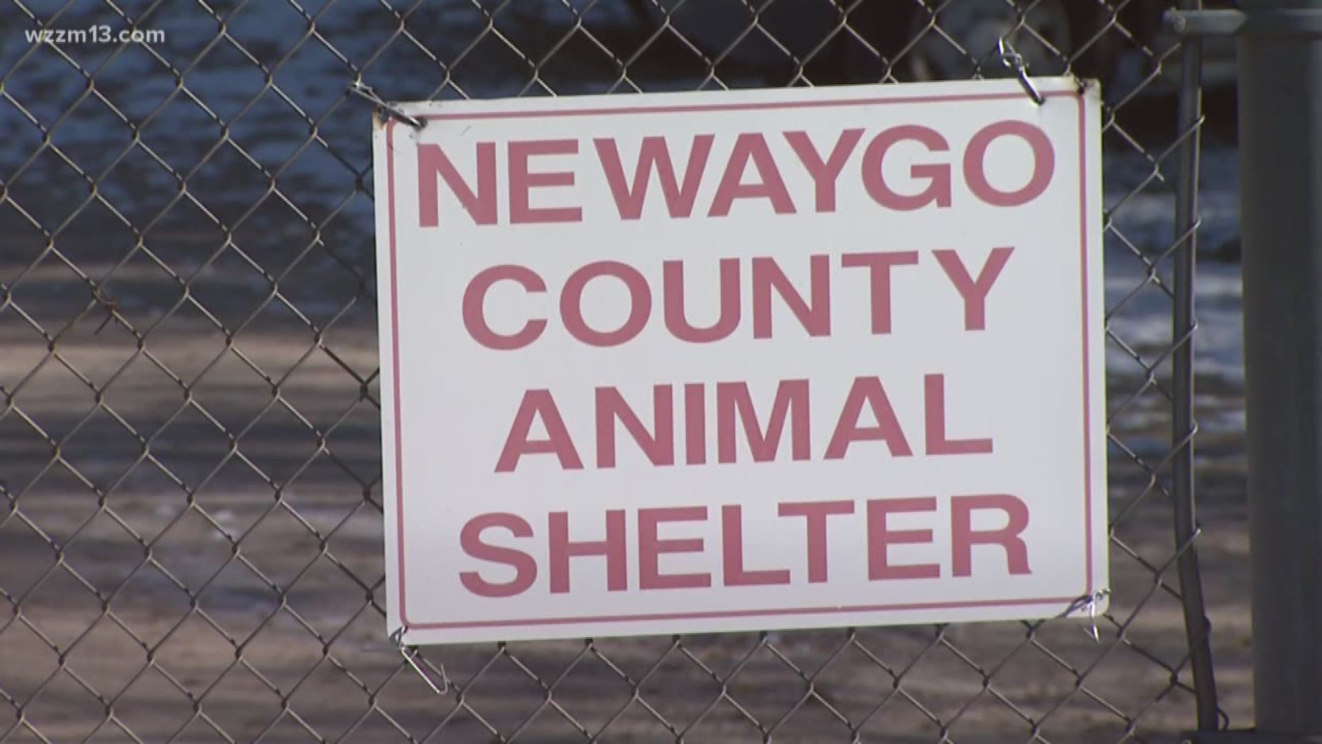 Newaygo County woman mauled to death by dog