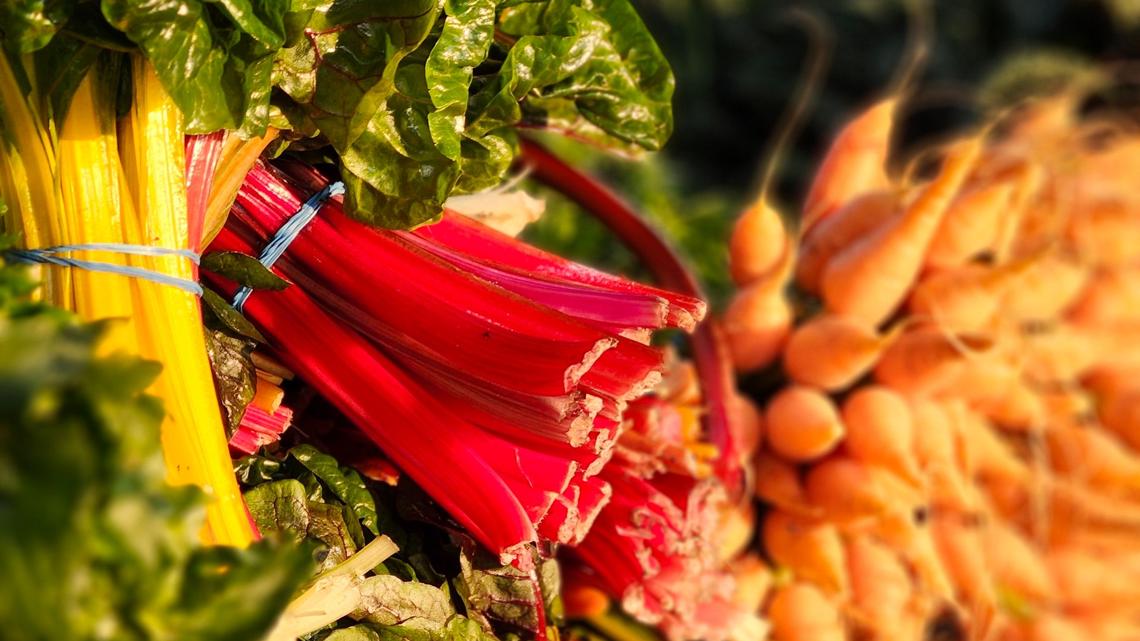 Kalamazoo Farmers Market gears up to kick off season with new operator