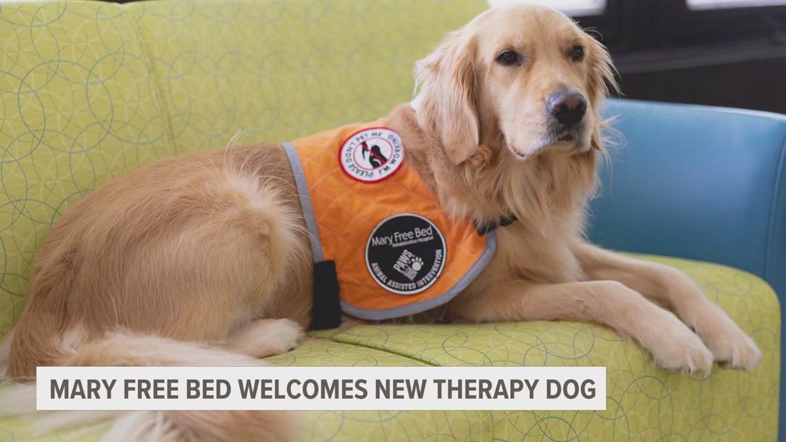 Mary Free Bed welcomes new therapy dog