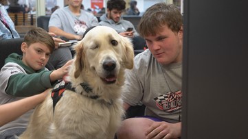 Whitehall community hosts fundraiser for beloved therapy dog's surgery