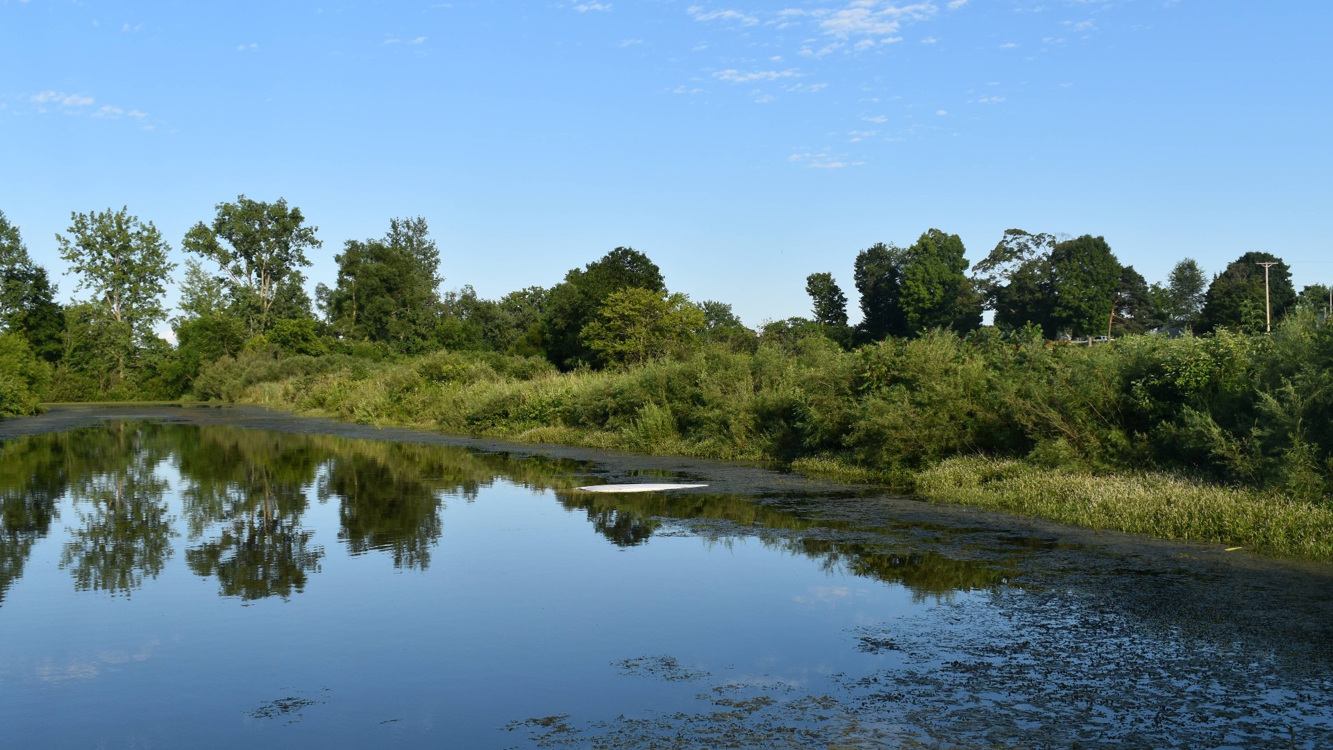 Man Drowns In Van Buren Co Pond Wzzm13