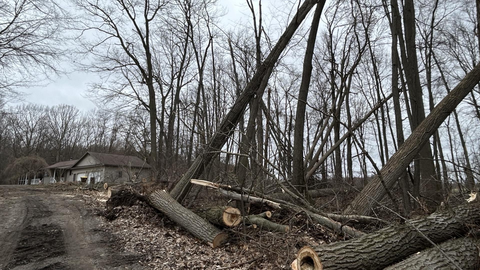 Residents begin cleanup after West Michigan storms | wzzm13.com