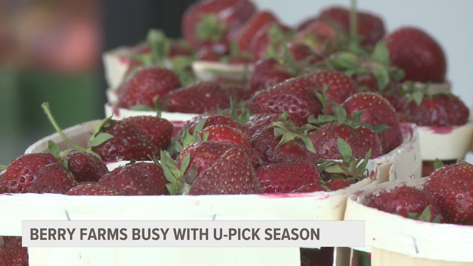 Many West Michigan farms are busy this month since it's the best time of year for people to pick freshly ripened berries.