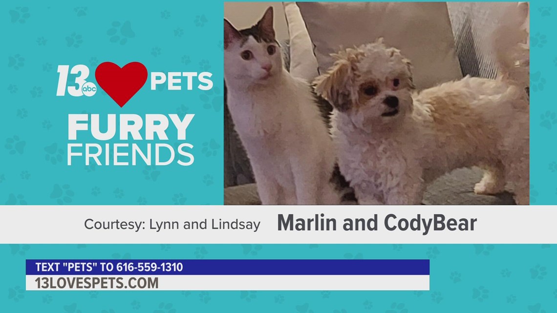 Furry Friends:  August 8, 2022 | Sedrick and Marlin & CodyBear