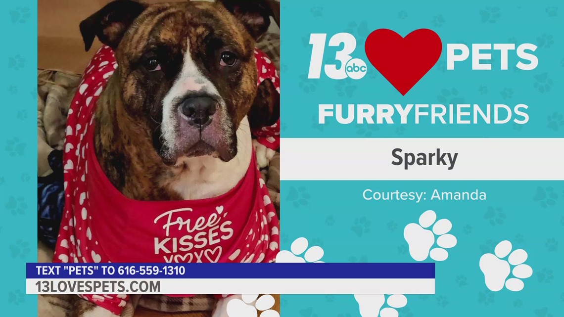 Furry Friends:  March 16, 2023 | Sparky and Mooch & Lacey