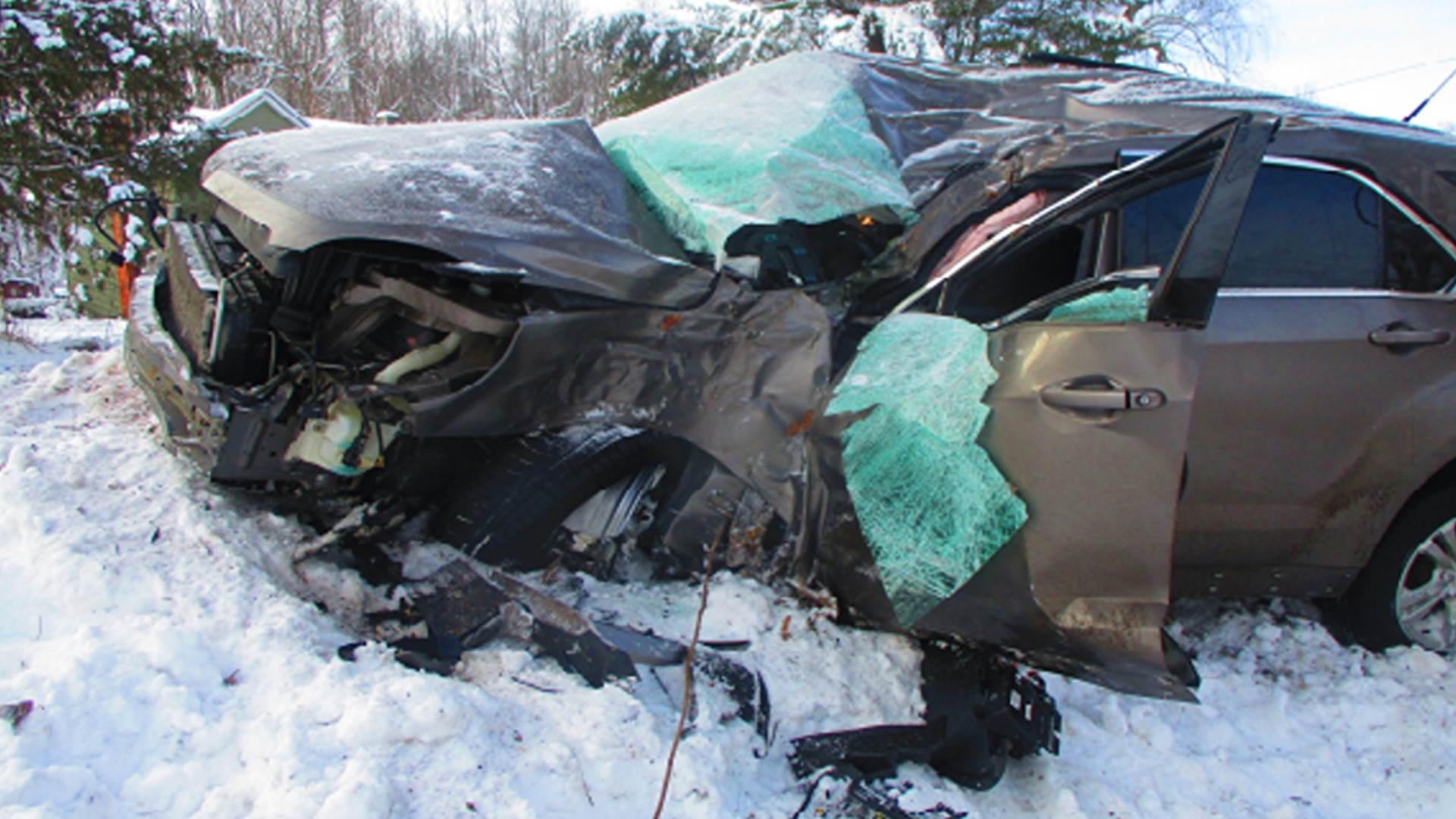 Lyons man dead after crash into tree in Ionia Township | wzzm13.com