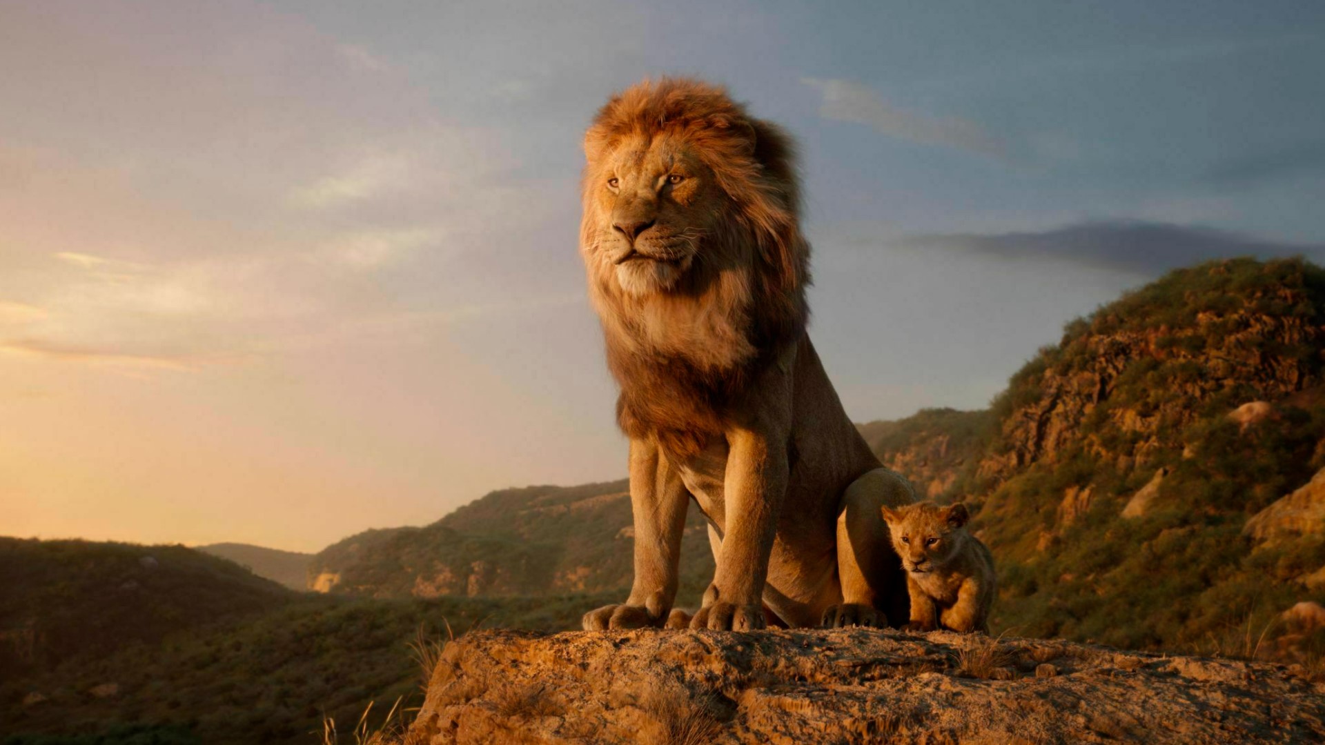 Since the original The Lion King was first released 25 years ago, half of the Africa’s lions have been lost. John Ball Zoo and Celebration Cinema are teaming up to help lions. The partnership coincides with the release of "The Lion King" movie and Lion Day at John Ball Zoo.