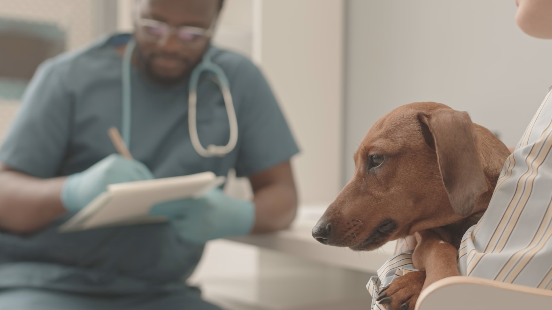 Dr. Ryan Carpenter said West Michigan is currently seeing a bit of an outbreak of upper respiratory infections and pneumonia-type sicknesses in dogs.