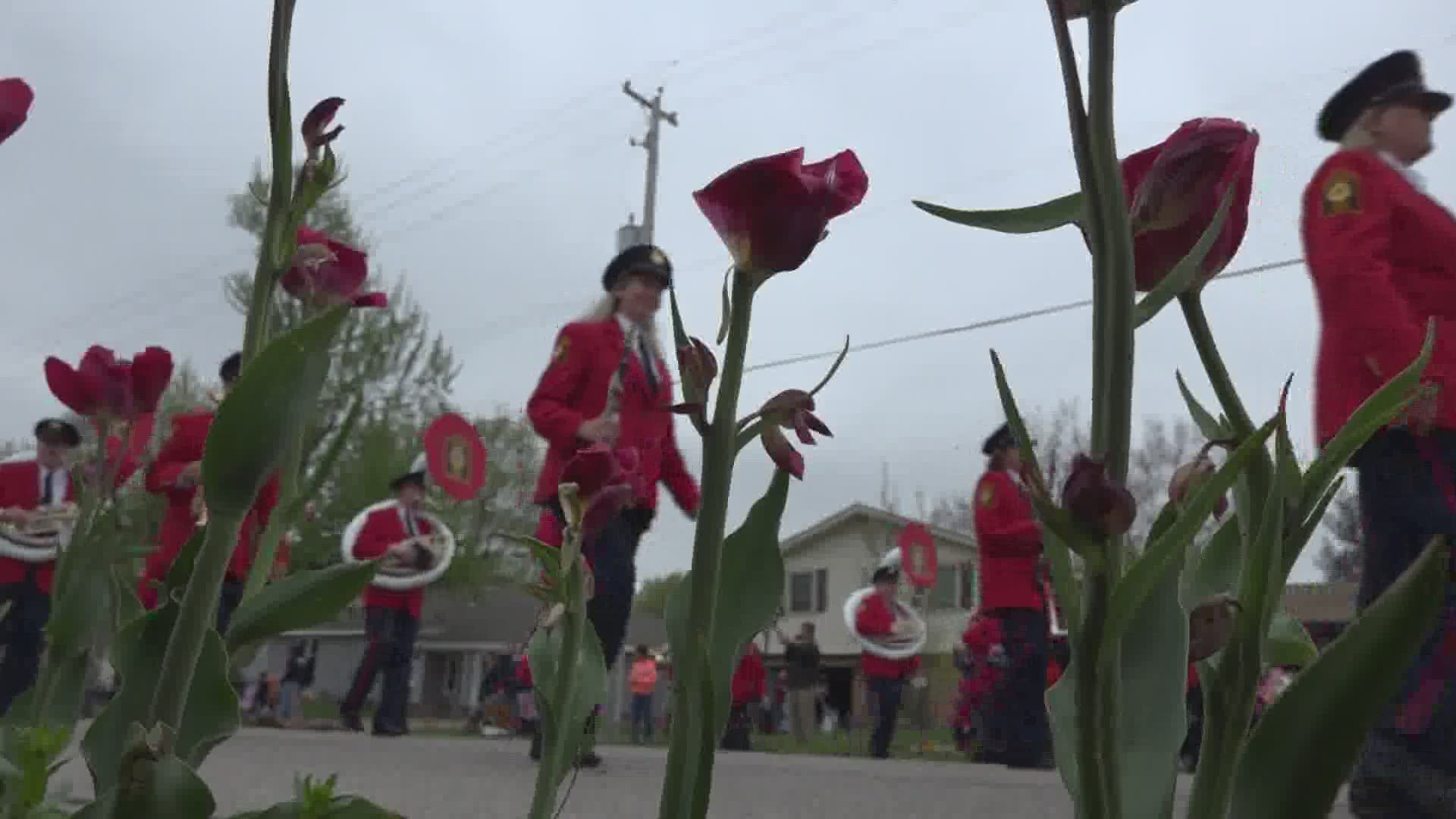 Tulip Time has reached 80% of its fundraising goal to help the festival run in future years.