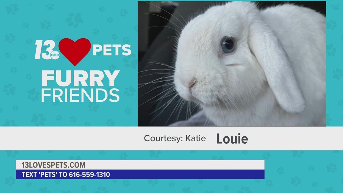 Furry Friends:  October 5, 2022 | Louie