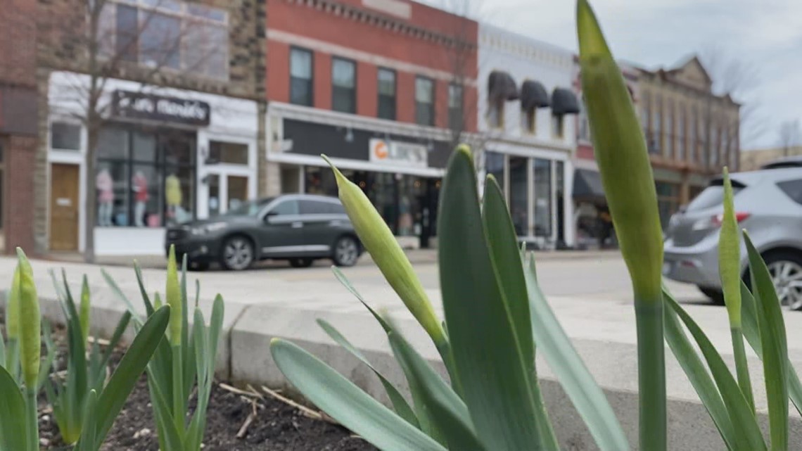 Grand Haven City Council passes two controversial items - Vimarsana News