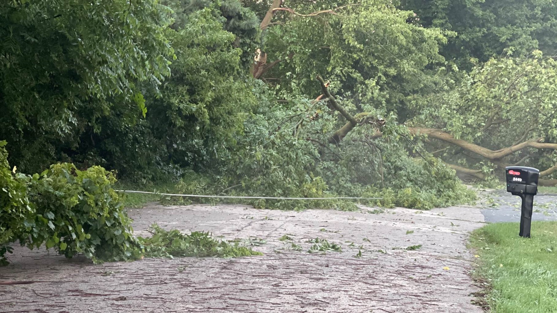 Thunderstorms cause damage in West Michigan | wzzm13.com