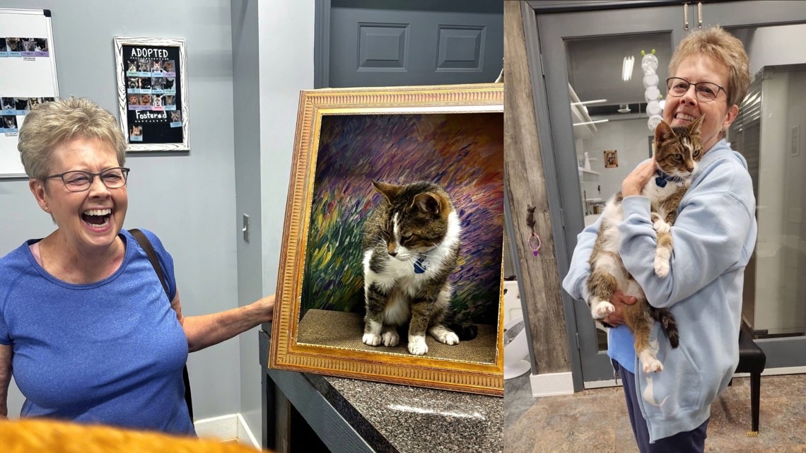 How a widow found signs from her late husband in adopted cat