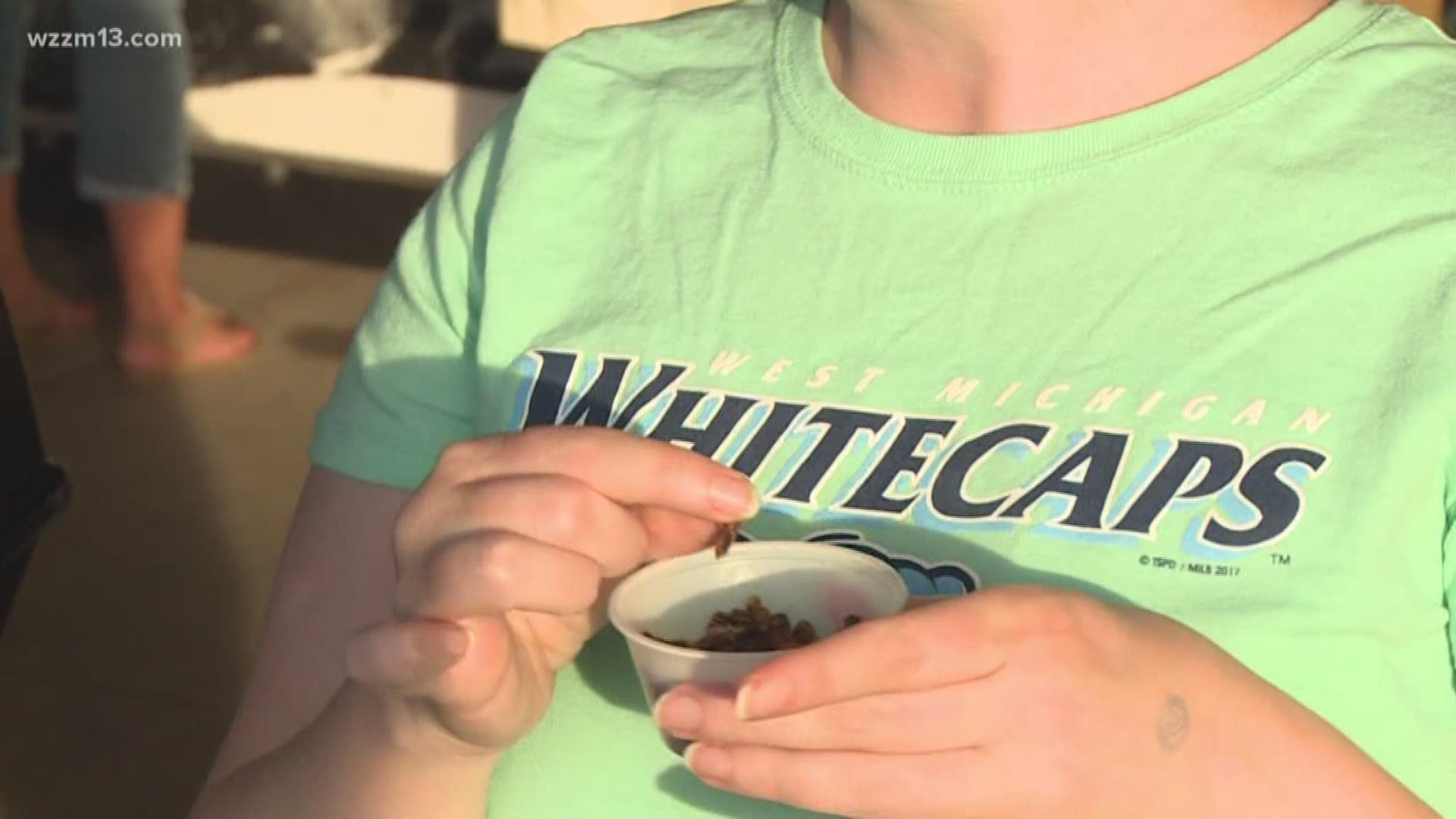Whitecaps to offer crickets at ball games