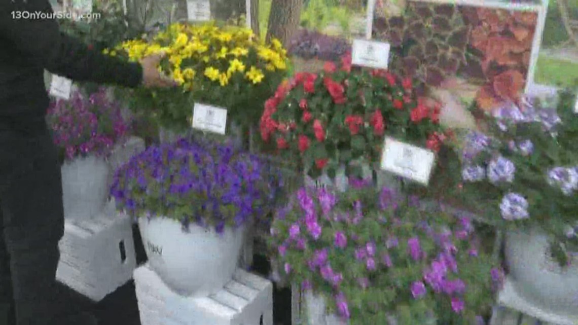 Tour the Home and Garden Show with Greenthumb