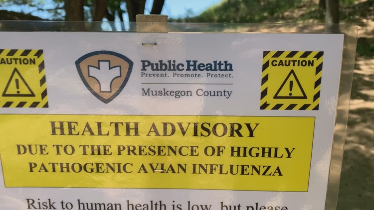 Health advisories posted at Muskegon Co. park amid bird die-off