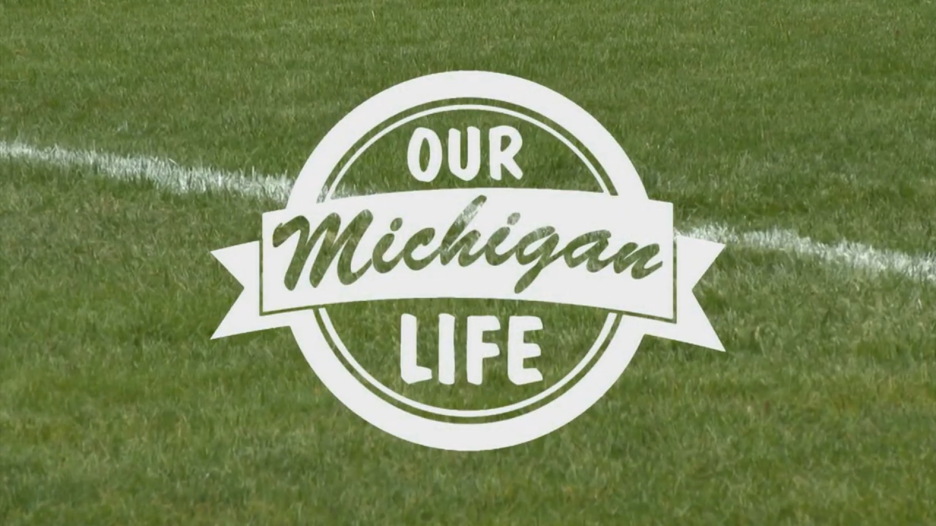 Unique and amazing Michigan stories from 2019.
