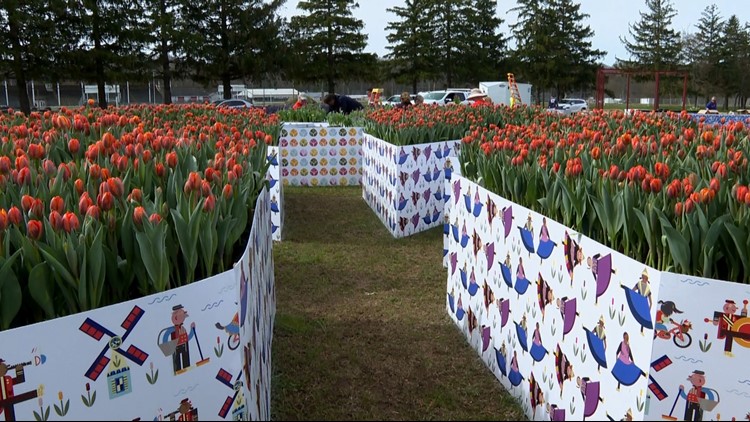 Extreme heat to close Tulip Time Immersion Garden one day early