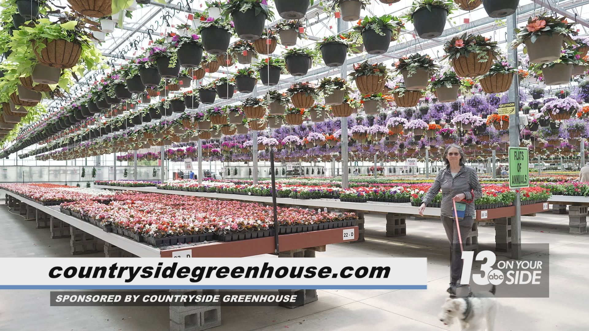 Countryside Greenhouse in Allendale started out as a wholesale operation and is now a massive retail experience.