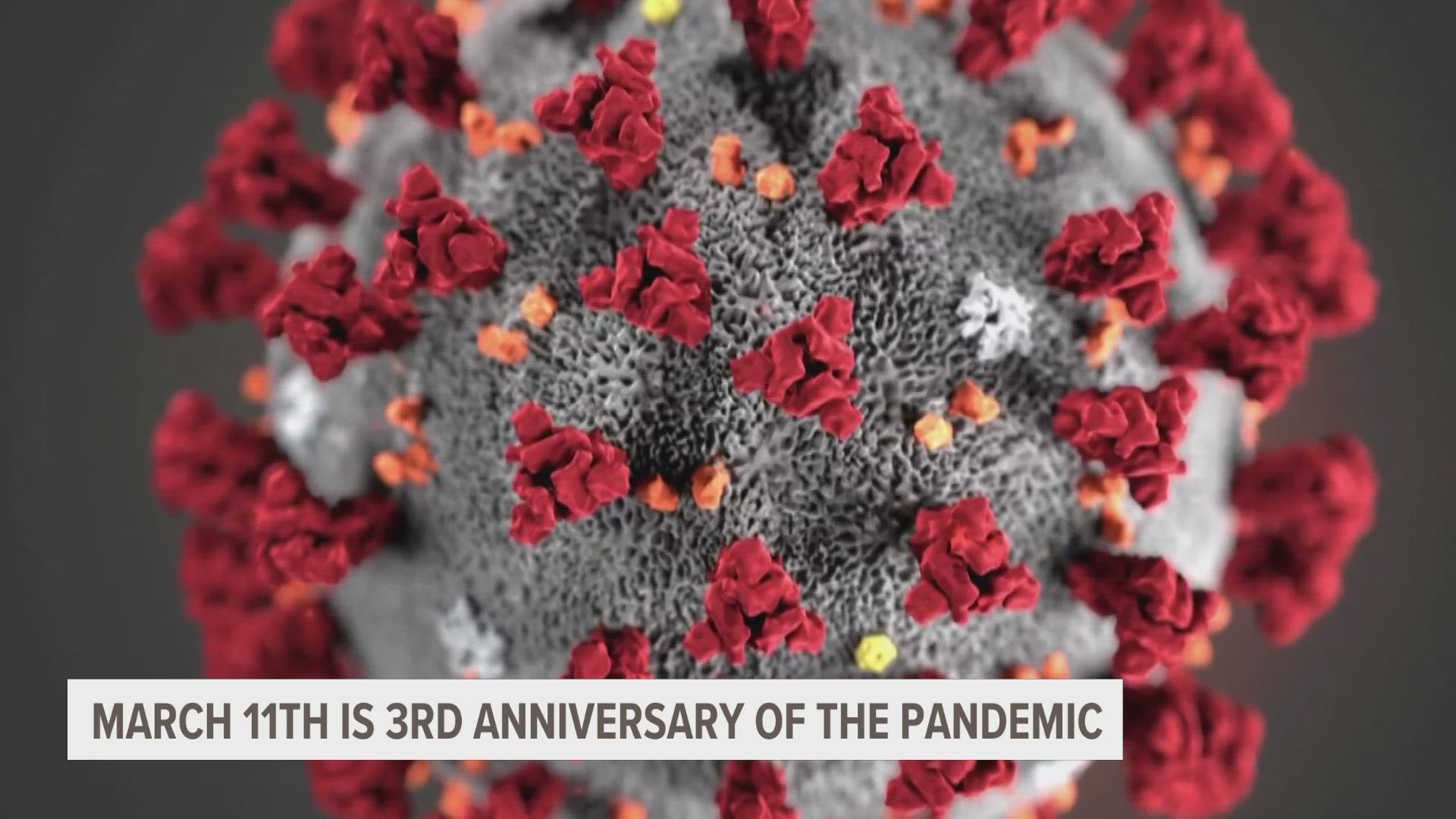 On March 11th, 2020, the World Health Organization declared COVID-19 a global pandemic.