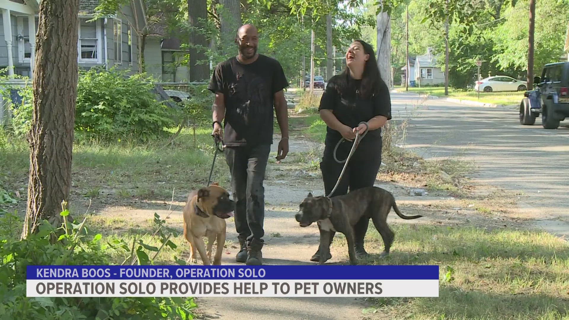 Operation Solo provides temporary assistance to dog owners in need.