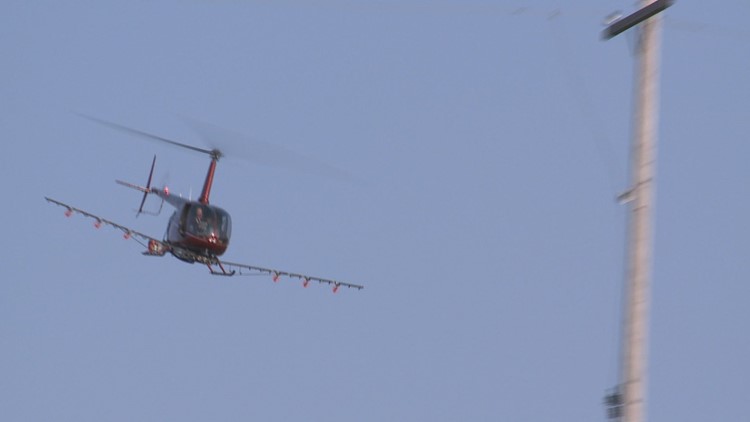 Low-flying helicopters spraying for spongy moths in Wyoming today