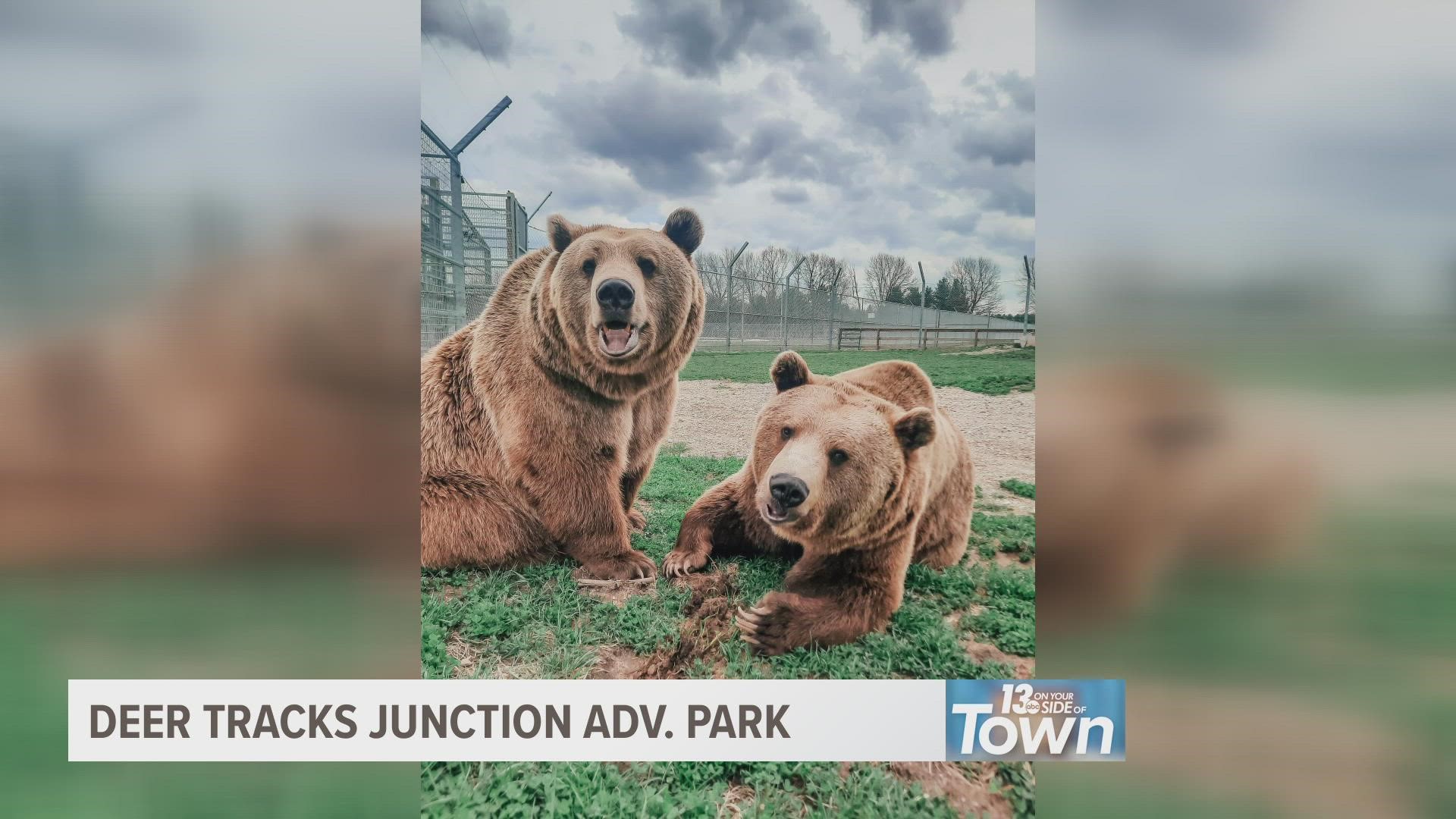 Deer Tracks Junction Adventure Park is one place in Cedar Springs you won't want to miss.
