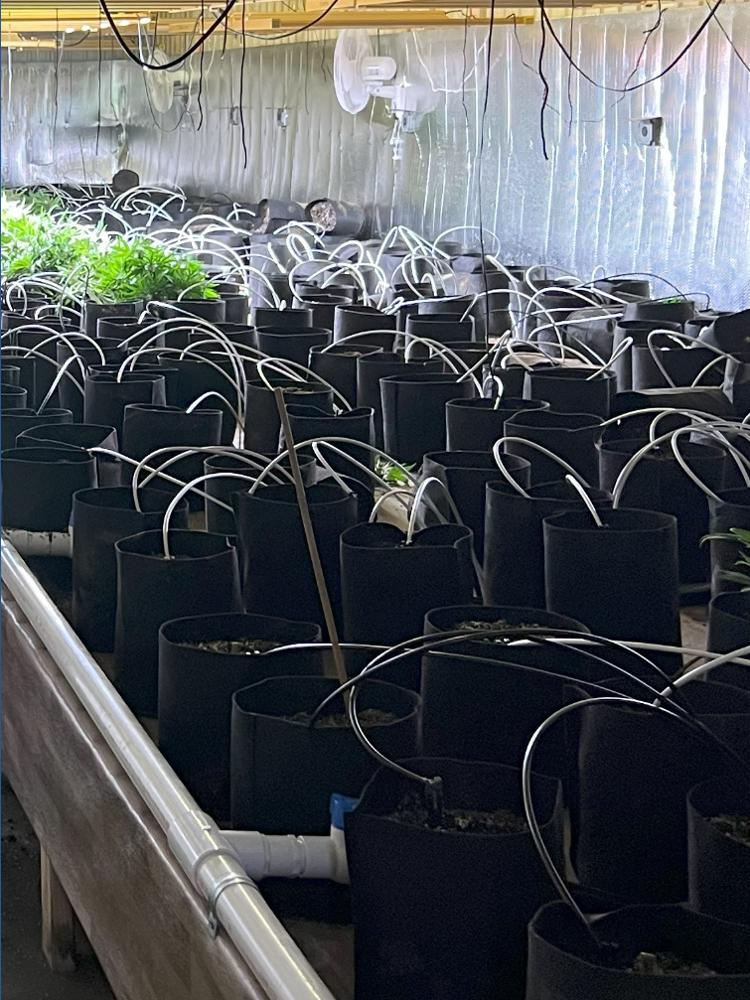 Michigan State Police seize $10M in unlicensed cannabis | wzzm13.com