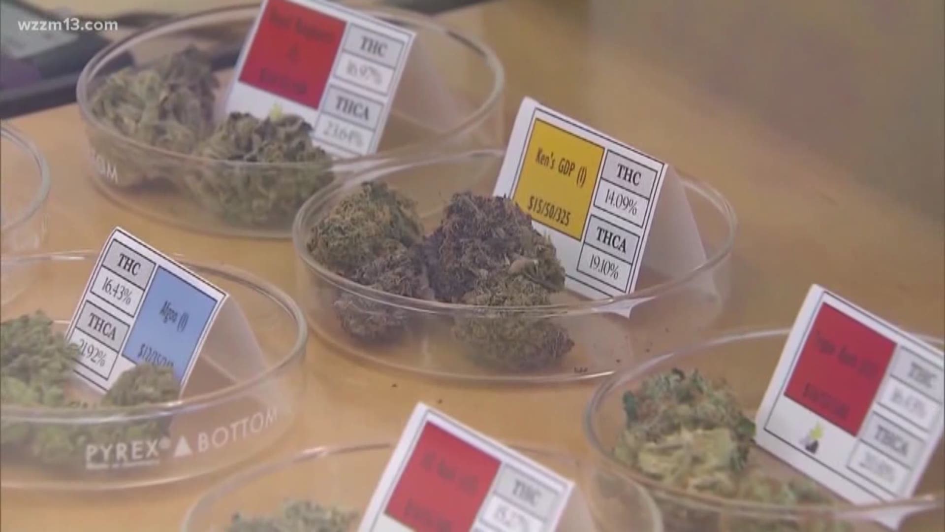More than 200 marijuana dispensaries closing across Michigan