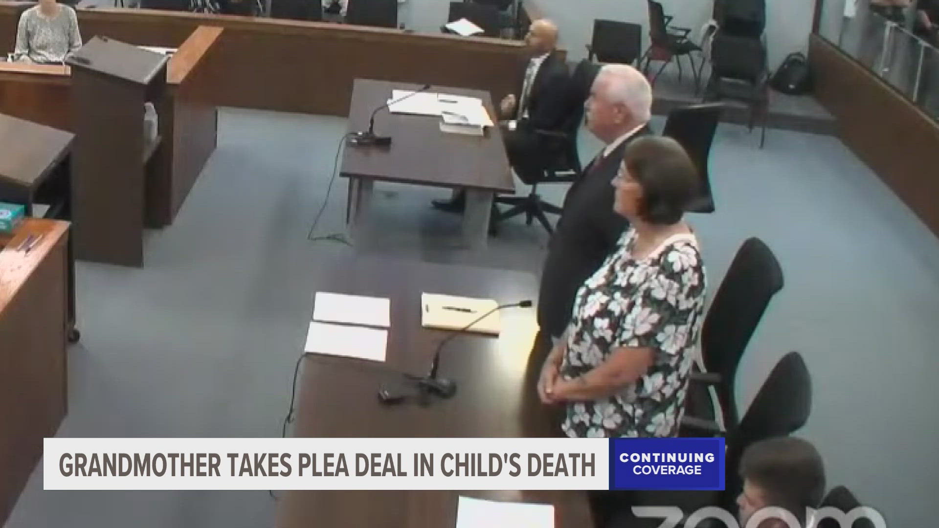 The grandmother of a 5-year-old who was shot and killed in her home in Newaygo County has taken a plea deal just one day before her trial date.