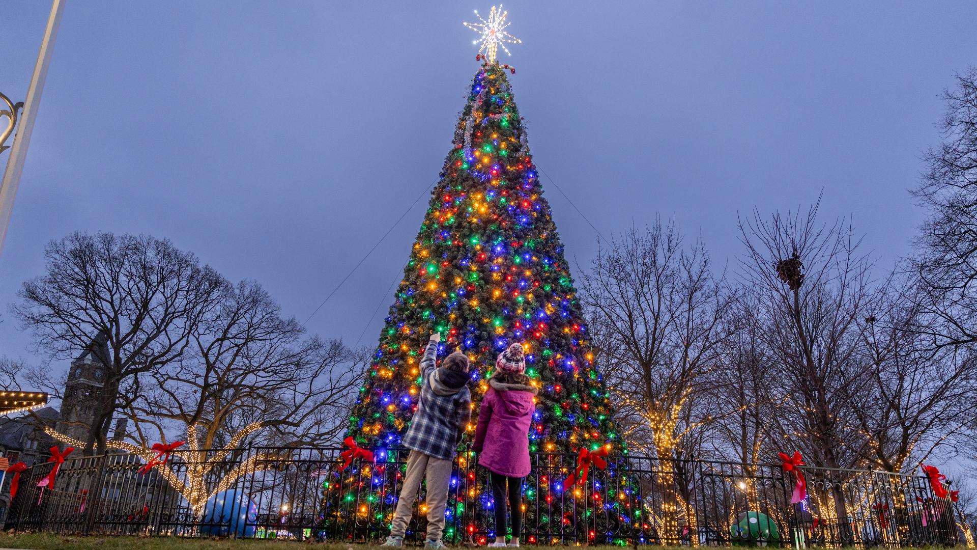 The star of the show—the city's Christmas tree—is decked out with multicolored lights and a massive light-up star on top.