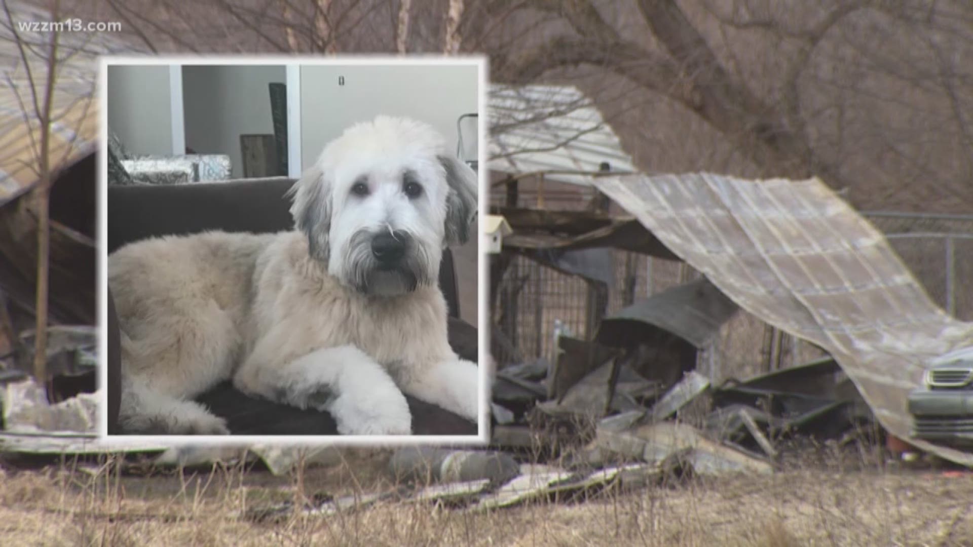 Fruitport Township kennel fire kills dozens of dogs