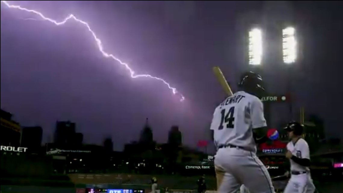 Bark at the Park Night at Comerica Park 