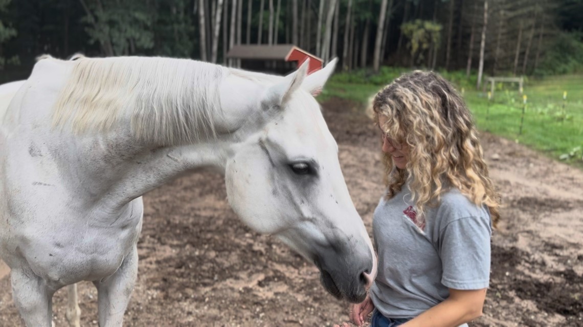 Horses help patients break through tough barriers in therapy - Vimarsana News