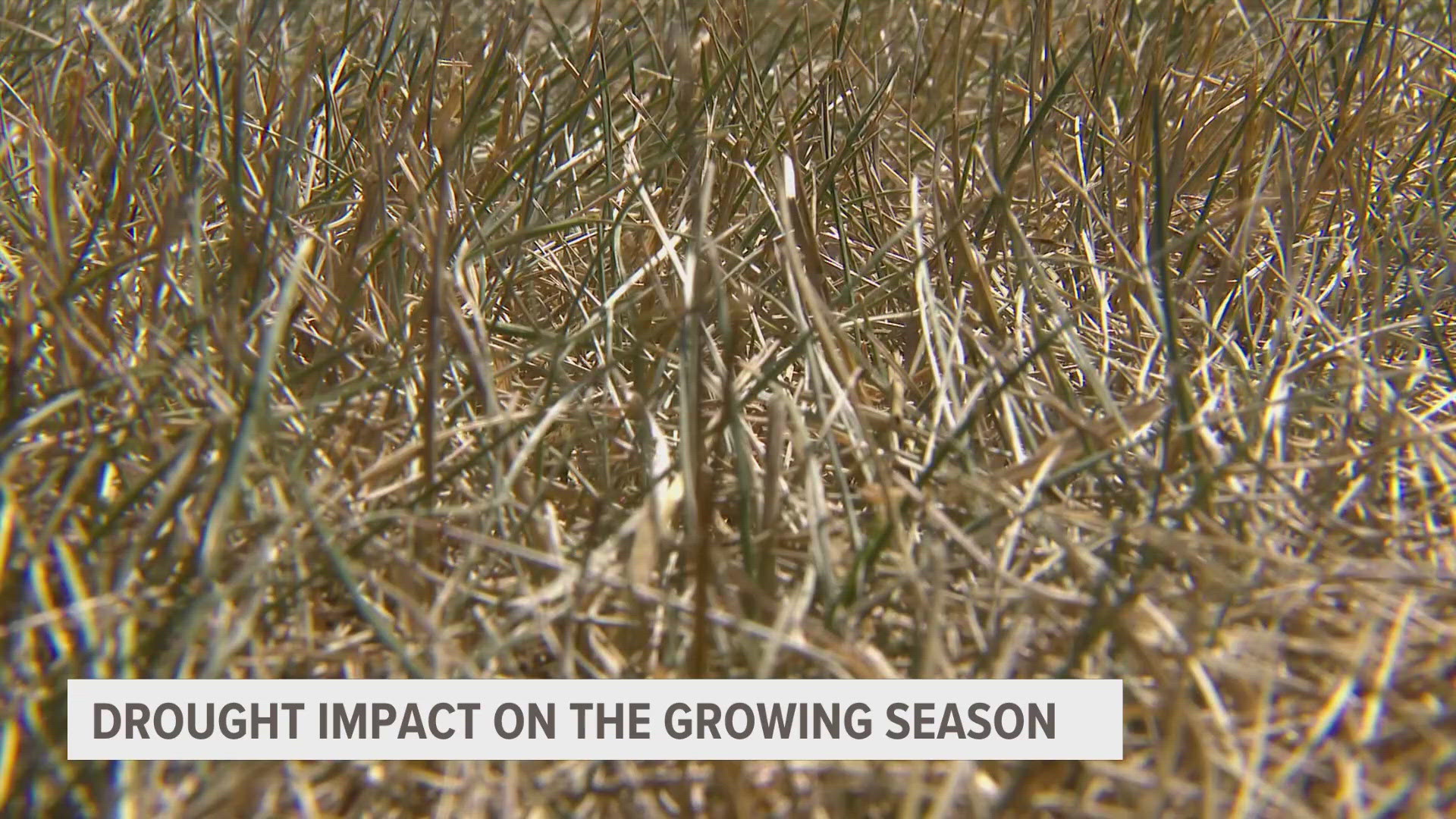 While there is plenty left of the growing season, some farmers are beginning to get concerned as drought worsens across the region.