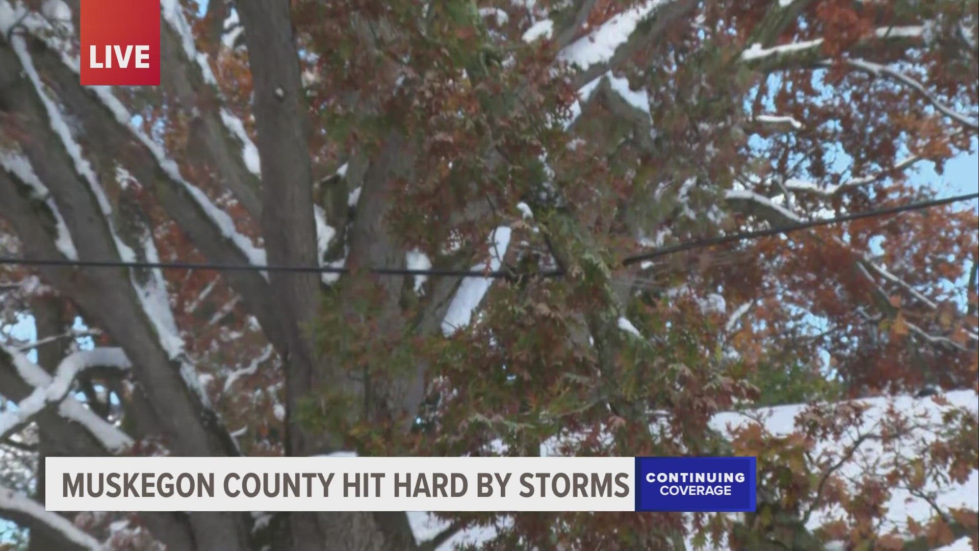 Around 43,000 homes and businesses in Muskegon County had power knocked out at some point on Halloween and the next day due to heavy snow and wind.