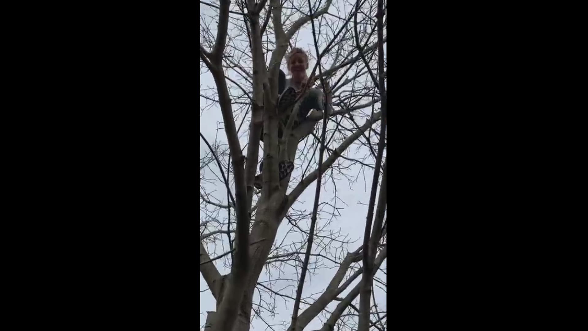 Principal, Miska Rynsburger had to climb a tree, and address all the students, on video, when she reached the top.